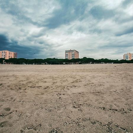 Studio Les Pieds Dans L'Eau Argeles Sur Mer Экстерьер фото