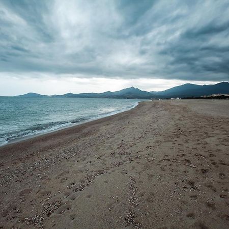 Studio Les Pieds Dans L'Eau Argeles Sur Mer Экстерьер фото