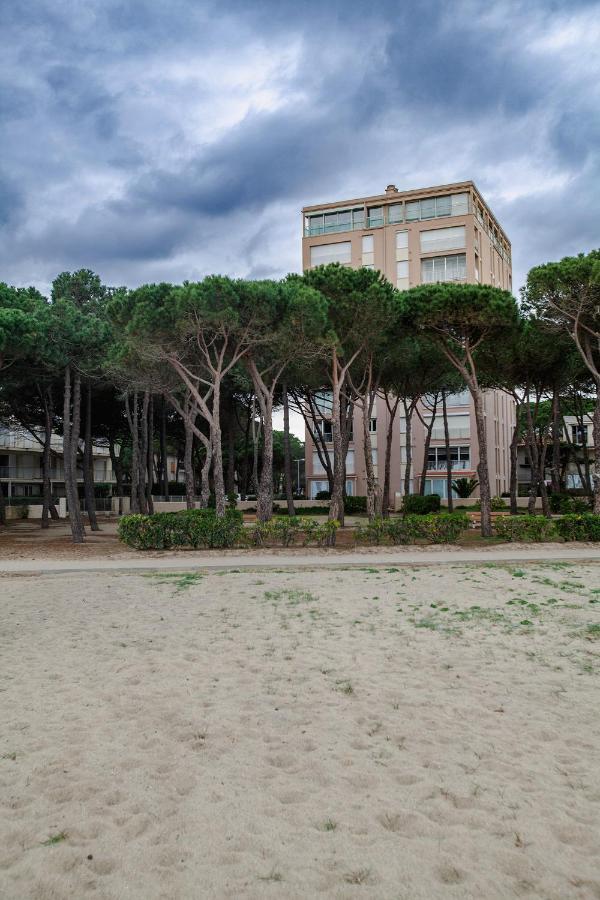 Studio Les Pieds Dans L'Eau Argeles Sur Mer Экстерьер фото
