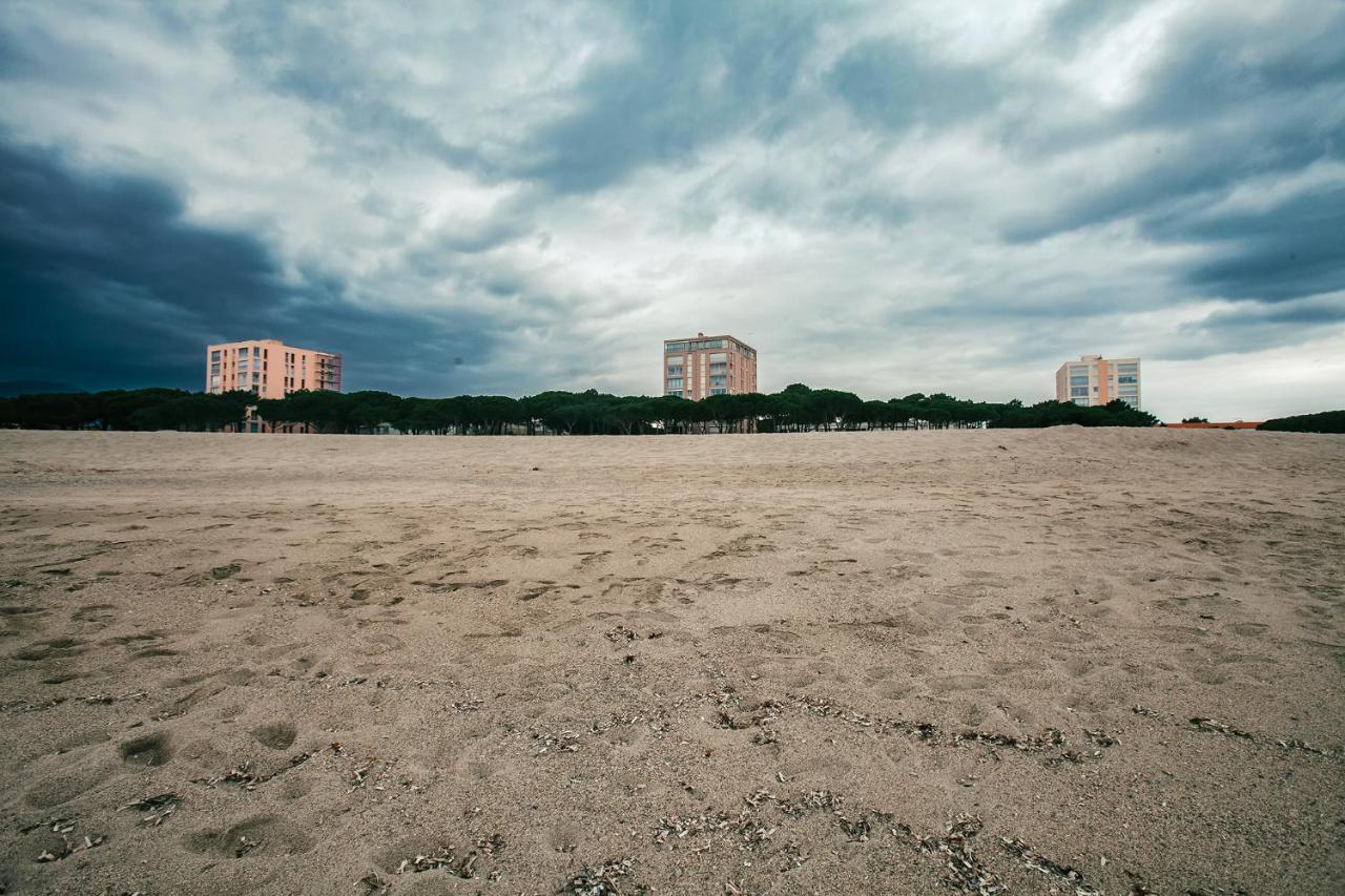Studio Les Pieds Dans L'Eau Argeles Sur Mer Экстерьер фото