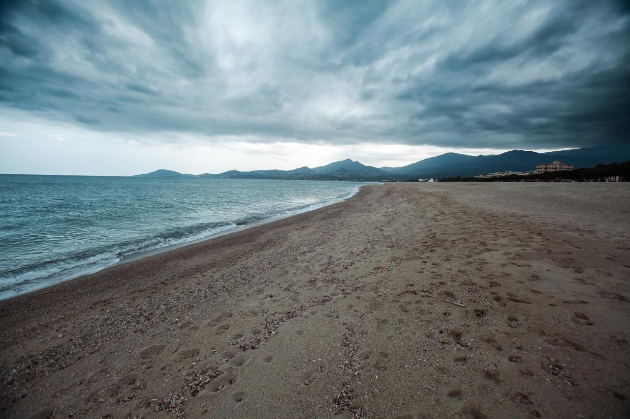 Studio Les Pieds Dans L'Eau Argeles Sur Mer Экстерьер фото