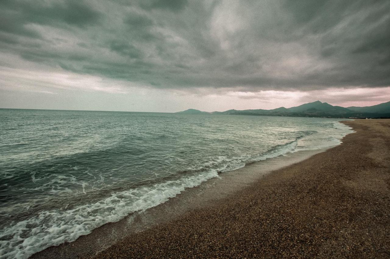 Studio Les Pieds Dans L'Eau Argeles Sur Mer Экстерьер фото