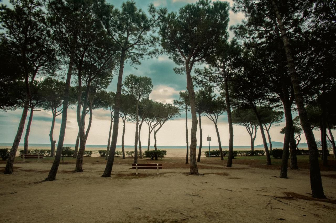 Studio Les Pieds Dans L'Eau Argeles Sur Mer Экстерьер фото